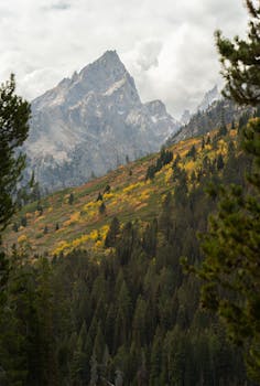 好的，请提供您需要优化的句子