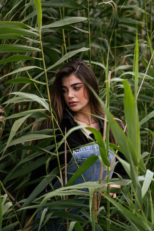 Free A woman stands delicately surrounded by tall, vibrant green plants. Stock Photo