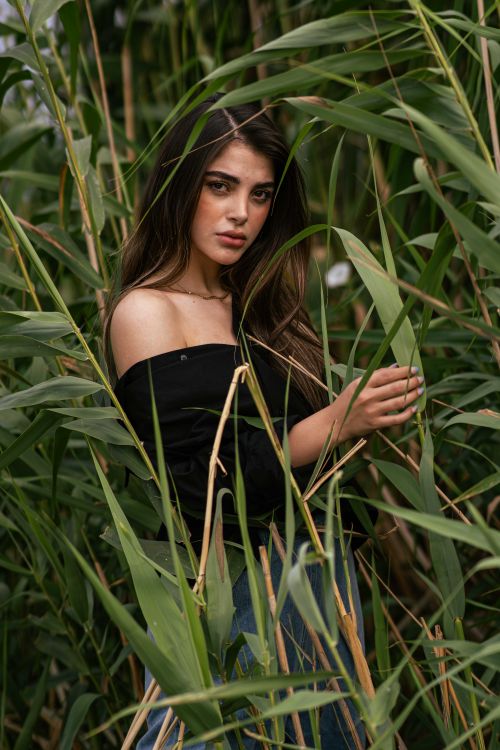 Free Striking portrait of a woman surrounded by verdant reeds, capturing a natural and serene setting. Stock Photo
