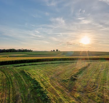 好的，我会按照您的要求进行句子的调整