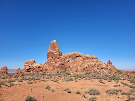 您的请求中没有提供具体的句子，因此我无法进行优化