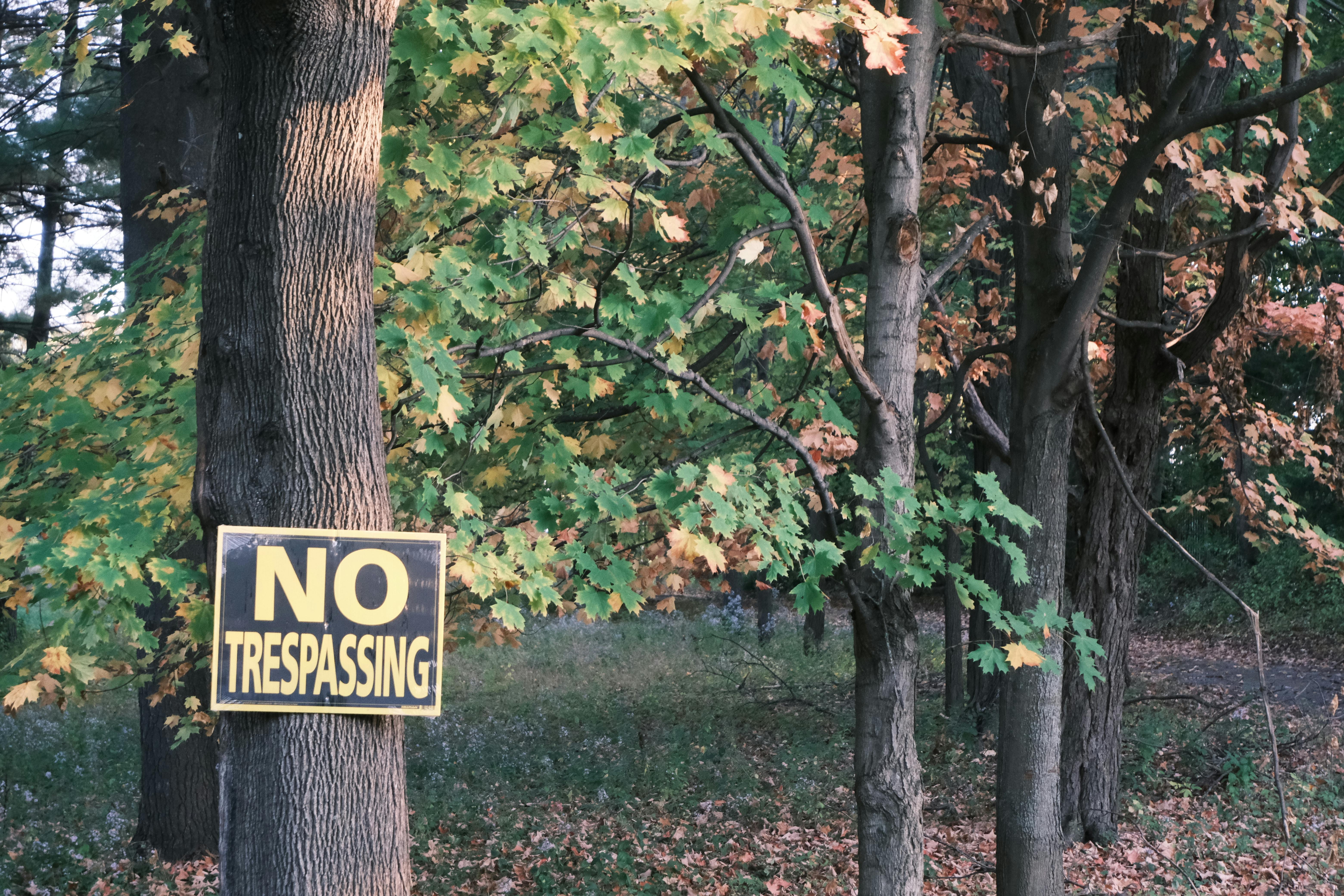 生活：陳光復跌倒昏迷 衛福部揭露最常摔地點
