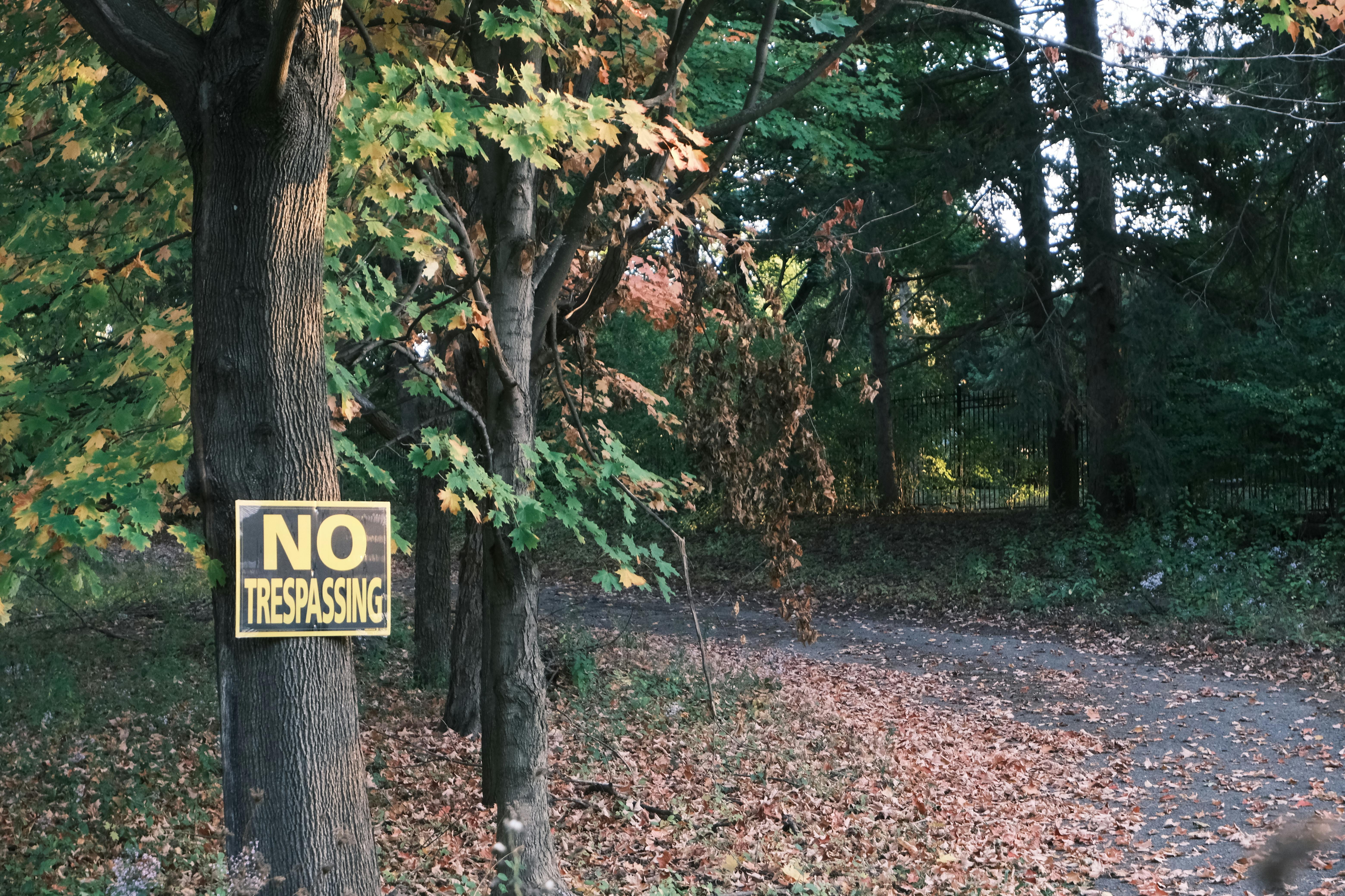 司法部長邦迪直播演說 強調嚴打政治暴力維護法治