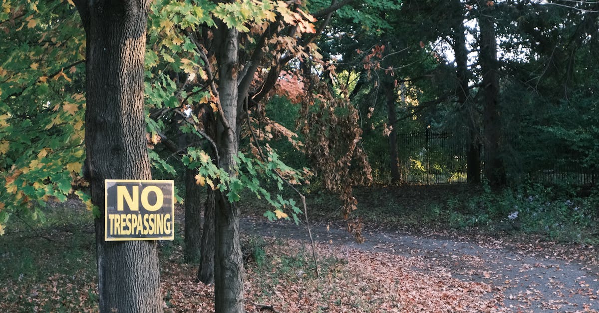 司法部長邦迪直播演說 強調嚴打政治暴力維護法治