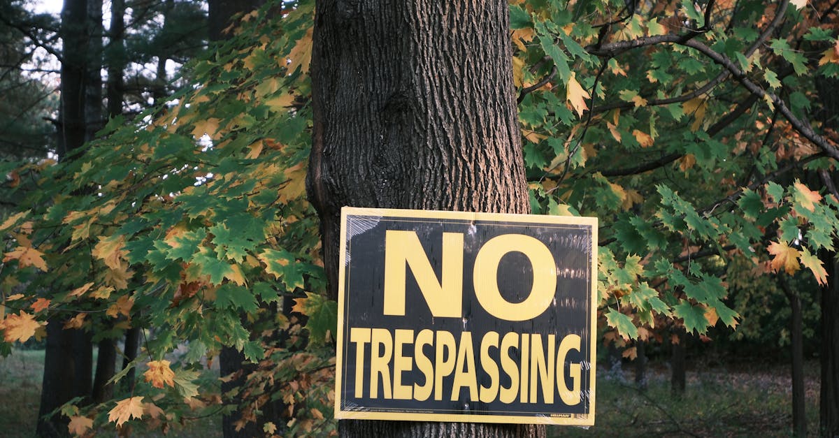 司法部長邦迪直播演說 強調嚴打政治暴力維護法治