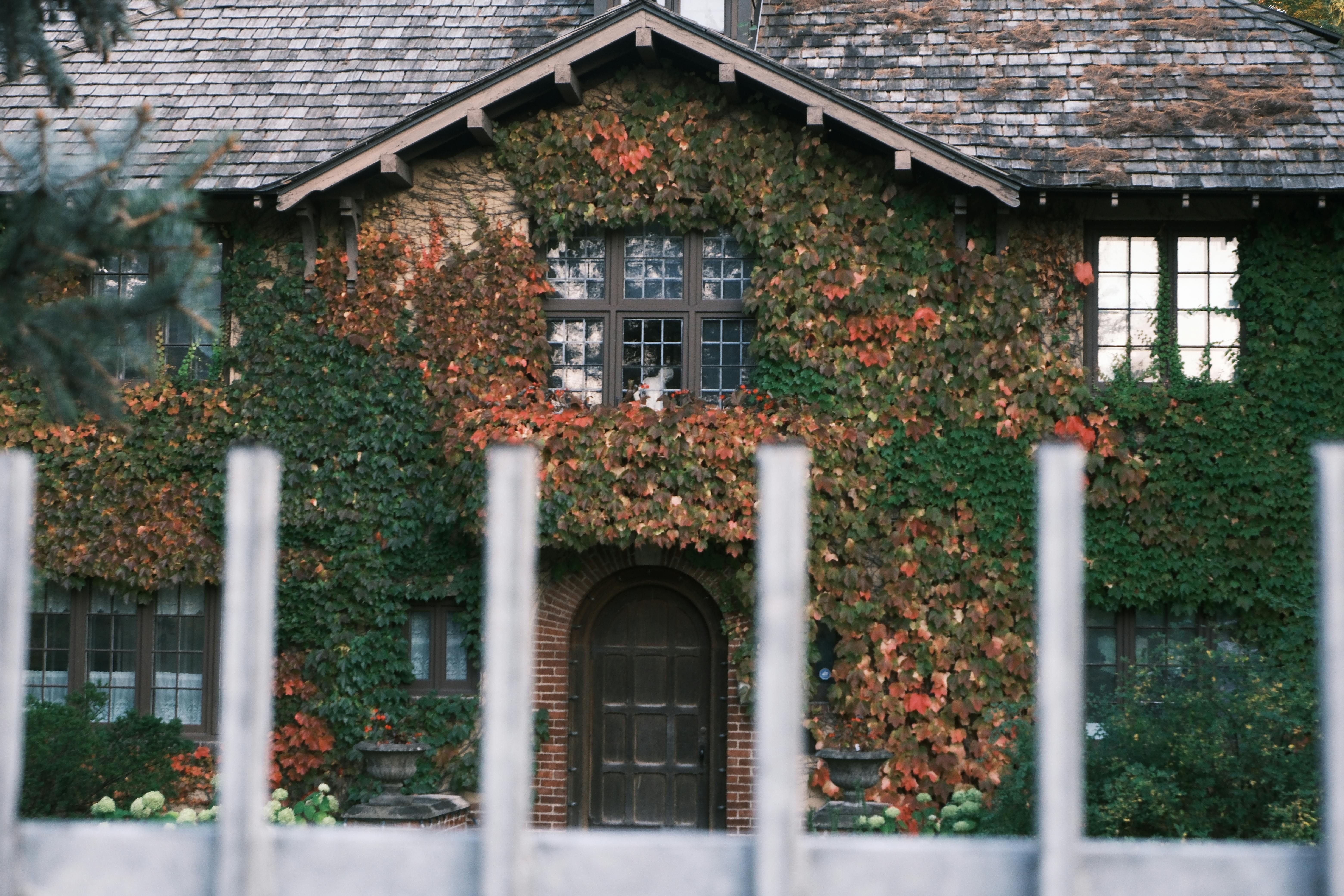 Selección Botánica y Gestión Ecológica para Techos Verdes Extensivos Urbanos