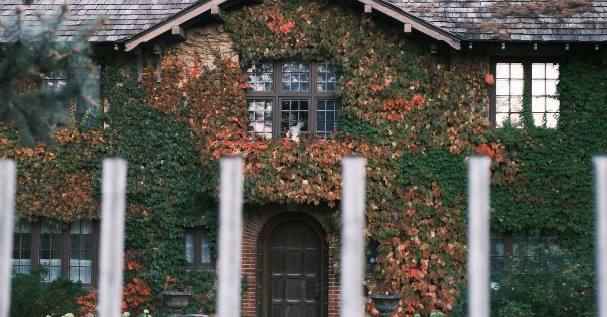 A beautiful ivy-covered house with autumn foliage, showcasing rustic charm and classic architecture.