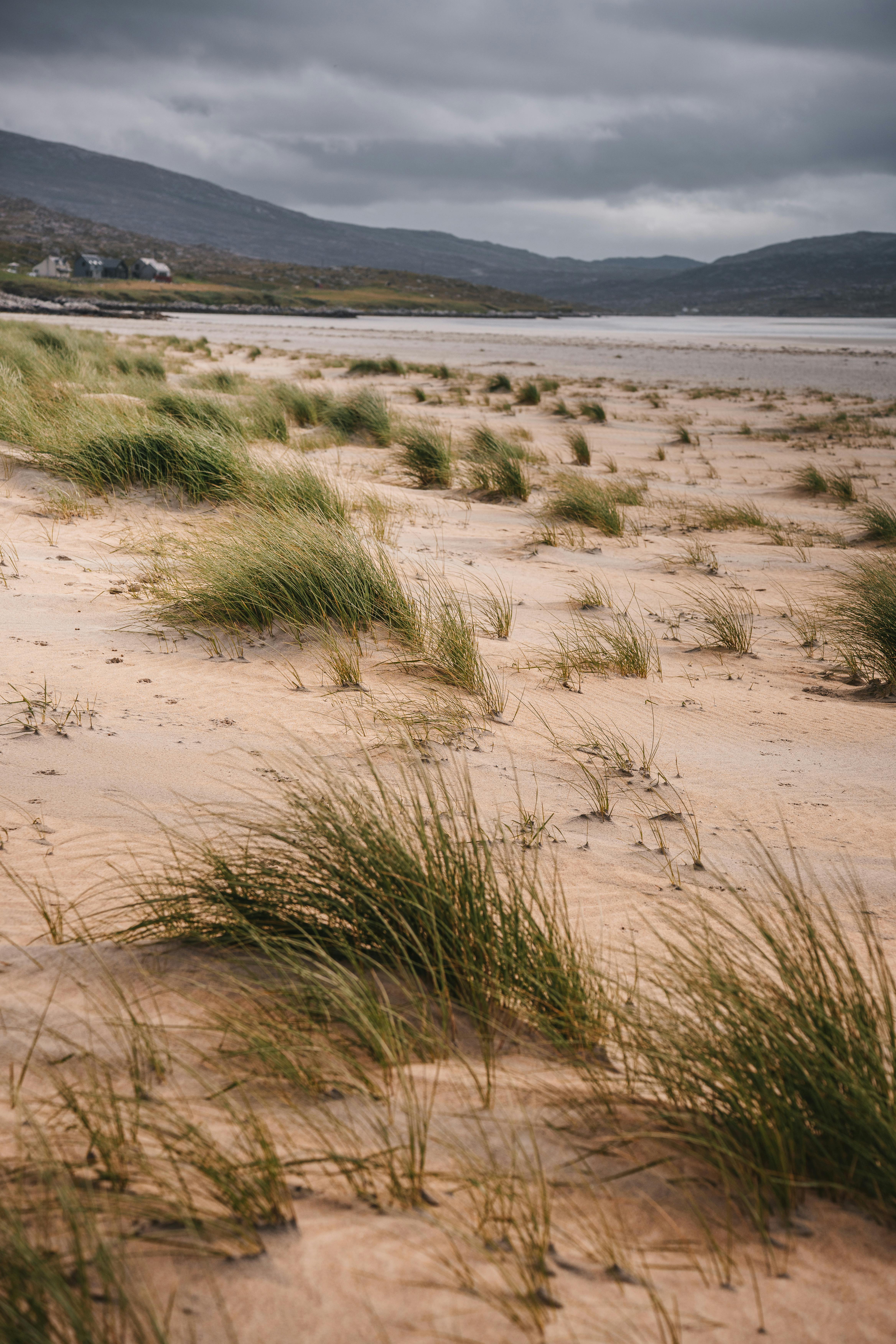 在苏格兰哈里斯，宁静的海滩景观下，多云的天空映衬着草地和山脉