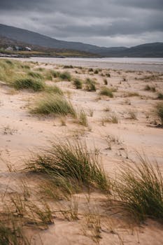 在苏格兰哈里斯，宁静的海滩景观下，多云的天空映衬着草地和山脉