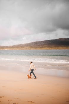 在苏格兰哈里斯的勒斯肯泰尔海滩上，一个人带着狗平静地散步