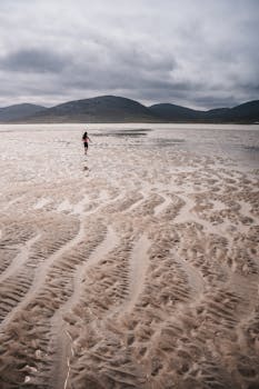 好的，我会遵循这些规则进行文本优化