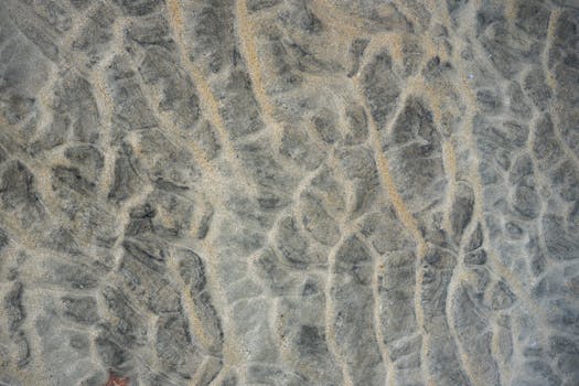 您的句子似乎不完整或未提供足够的信息，我无法进行相应的优化