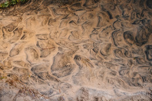 好的，请提供您需要优化的句子
