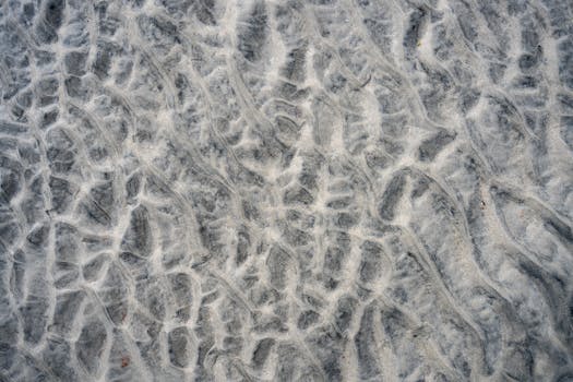 黑貂是一只动物的名称