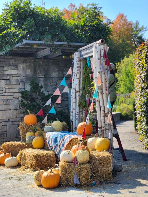 Free Charming autumn setup with pumpkins, hay bales, and colorful flags outdoors in Toronto. Stock Photo