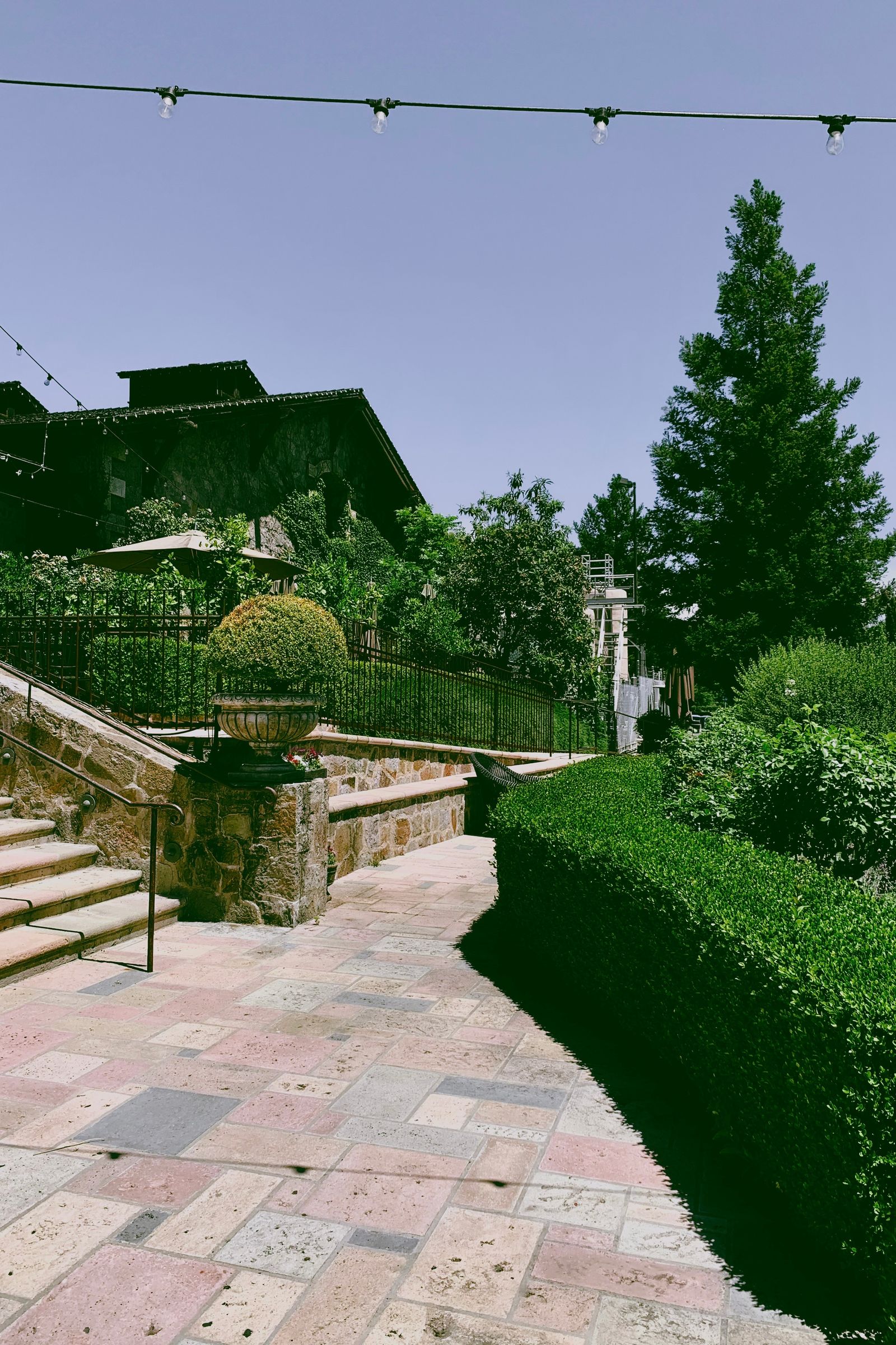 Stone pathway and stair detail in a landscaped yard
