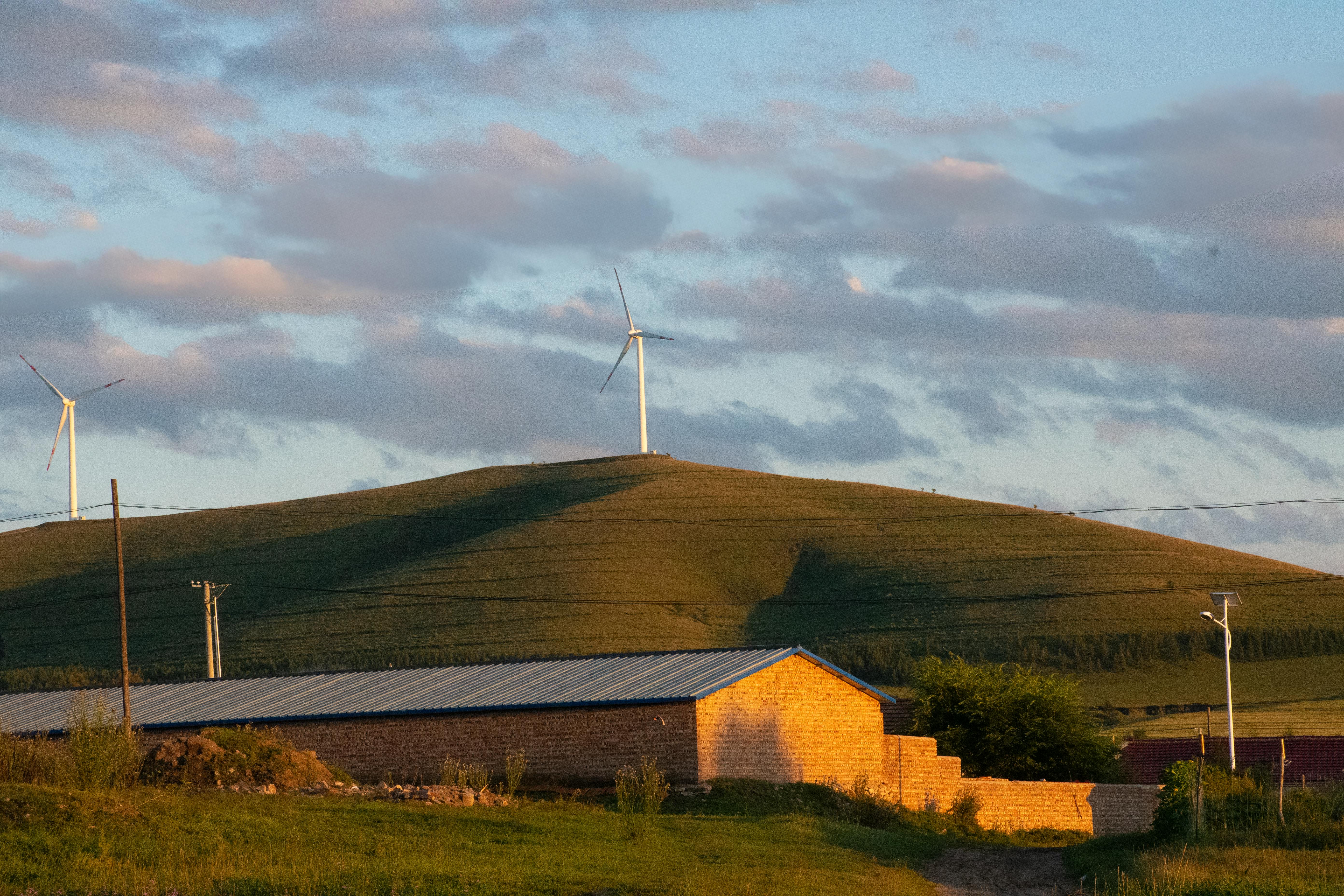 在日落时分，草山之上的风力涡轮机和房屋展示了可再生能源与乡村风光