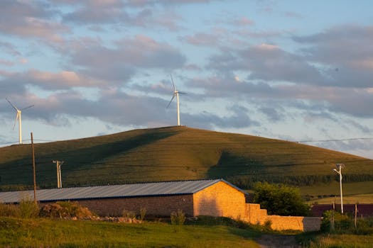 在日落时分，草山之上的风力涡轮机和房屋展示了可再生能源与乡村风光