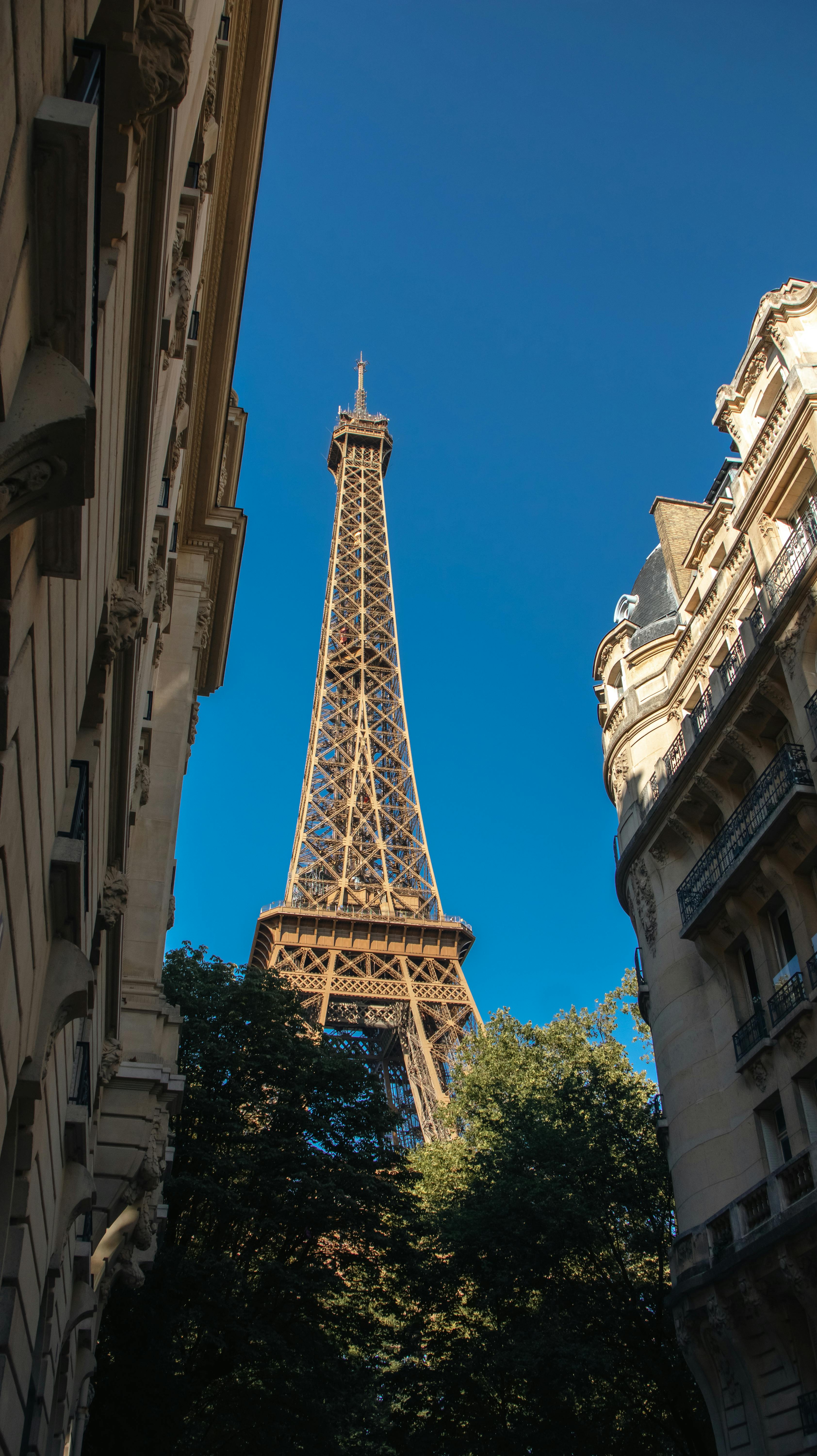 好的，我会按照您的要求进行句子的优化