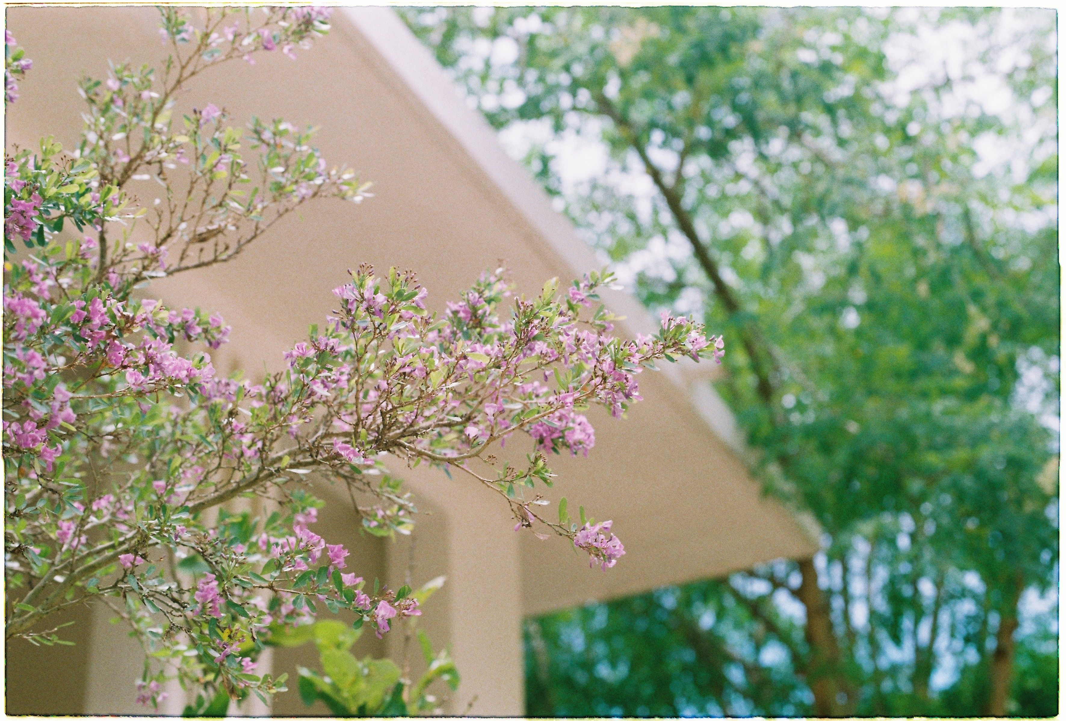 Give your home a spring reset for less than $100 with these DIY home improvement projects — Photo by meomupmofilm on Pexels