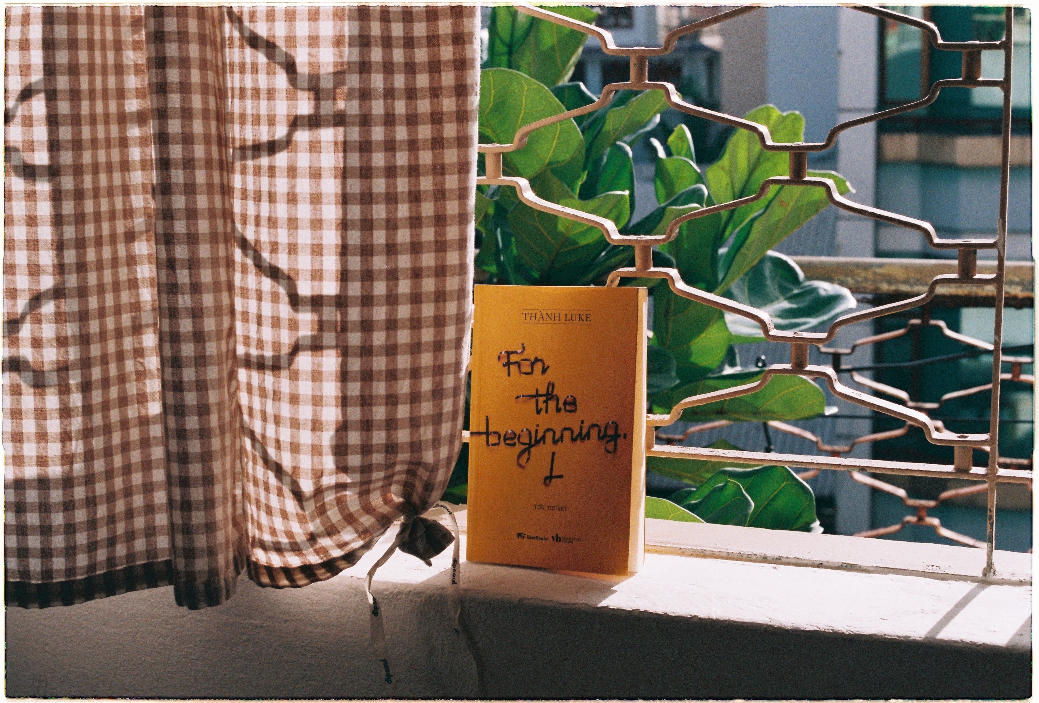 A peaceful balcony setting with book, checkered curtain, and lush plant.