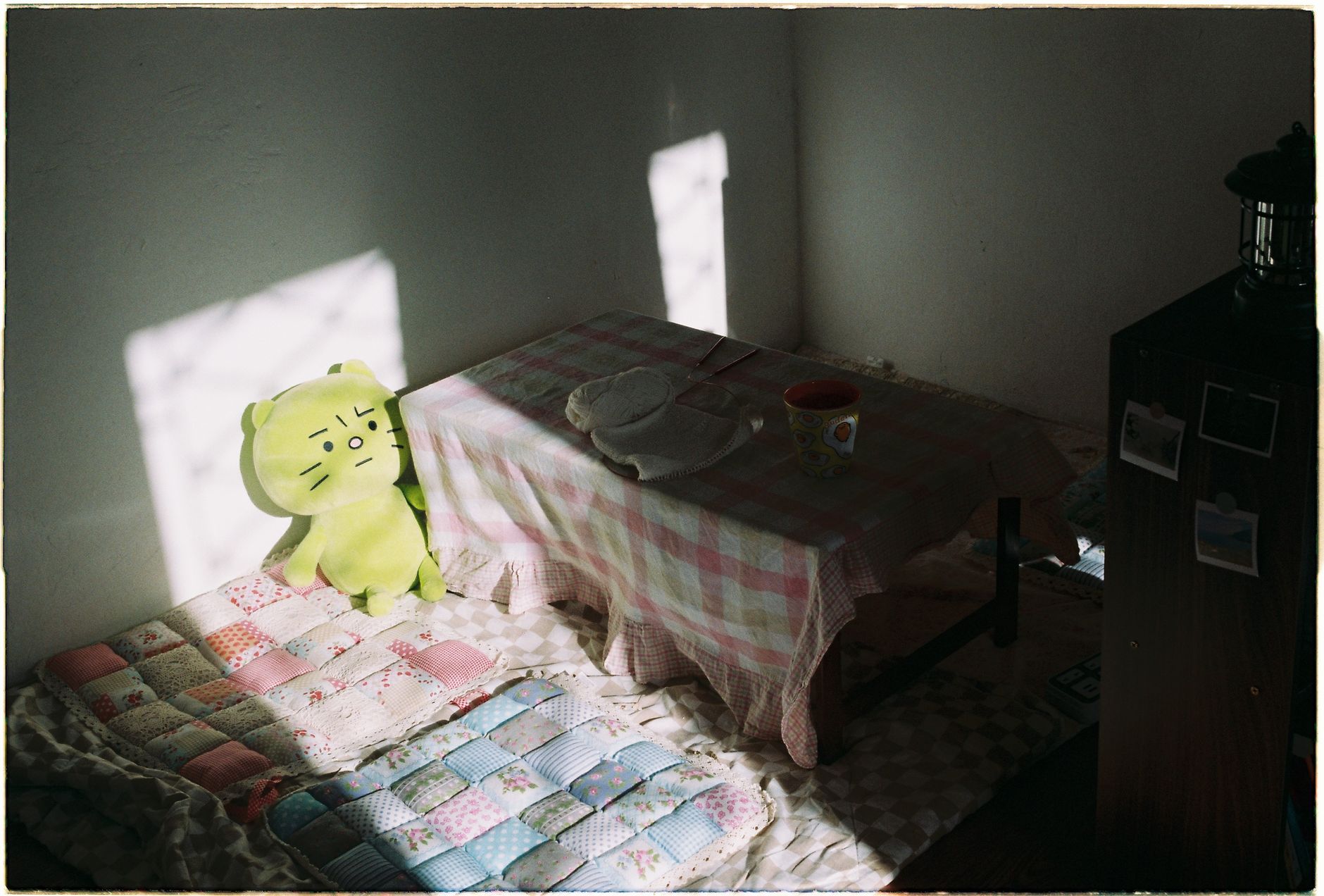 A quaint indoor setting with a plush toy, checkered tablecloth, and warm sunlight.