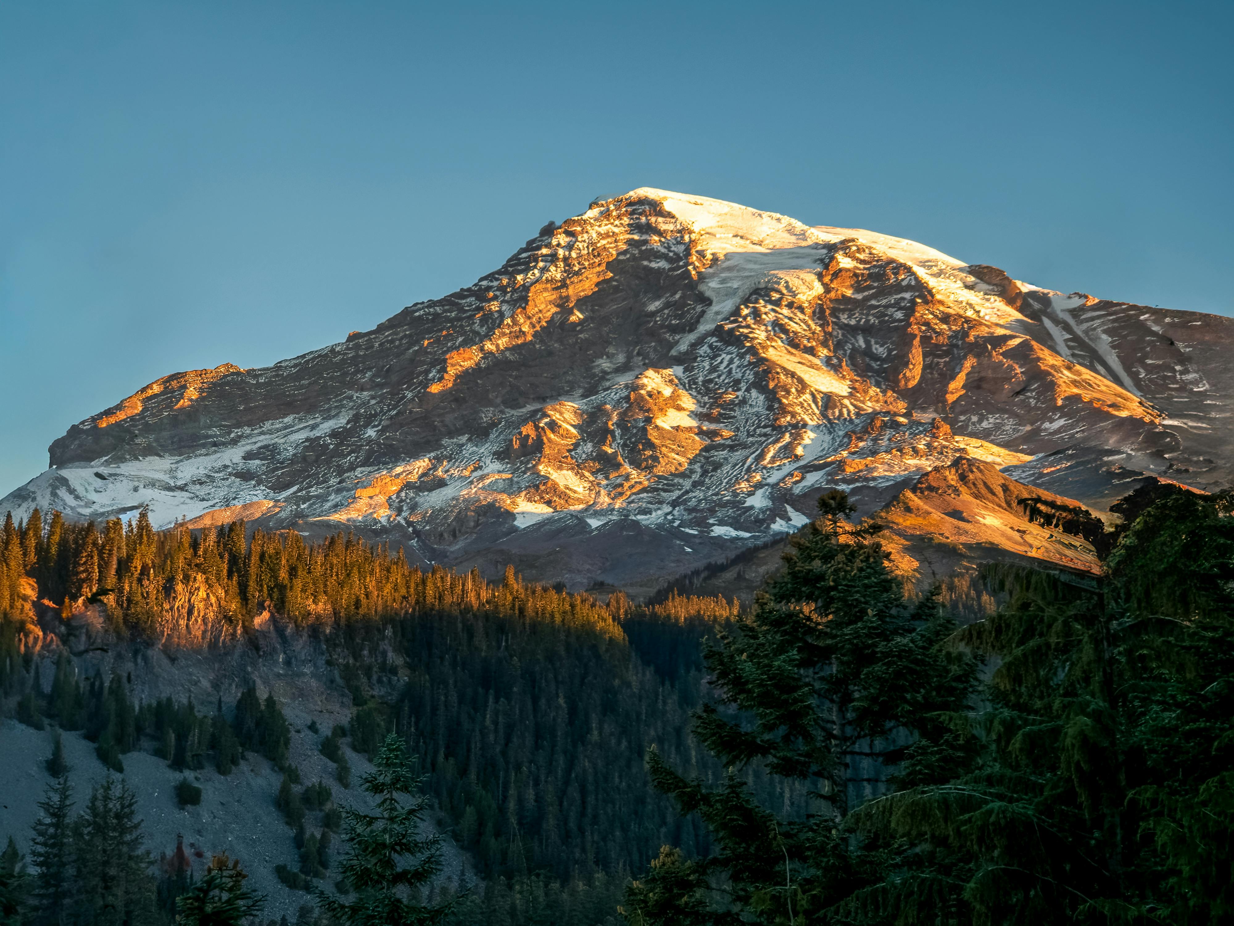 雷尼尔山的壮丽景色在日落时被照亮，前景是森林