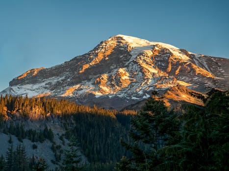 雷尼尔山的壮丽景色在日落时被照亮，前景是森林