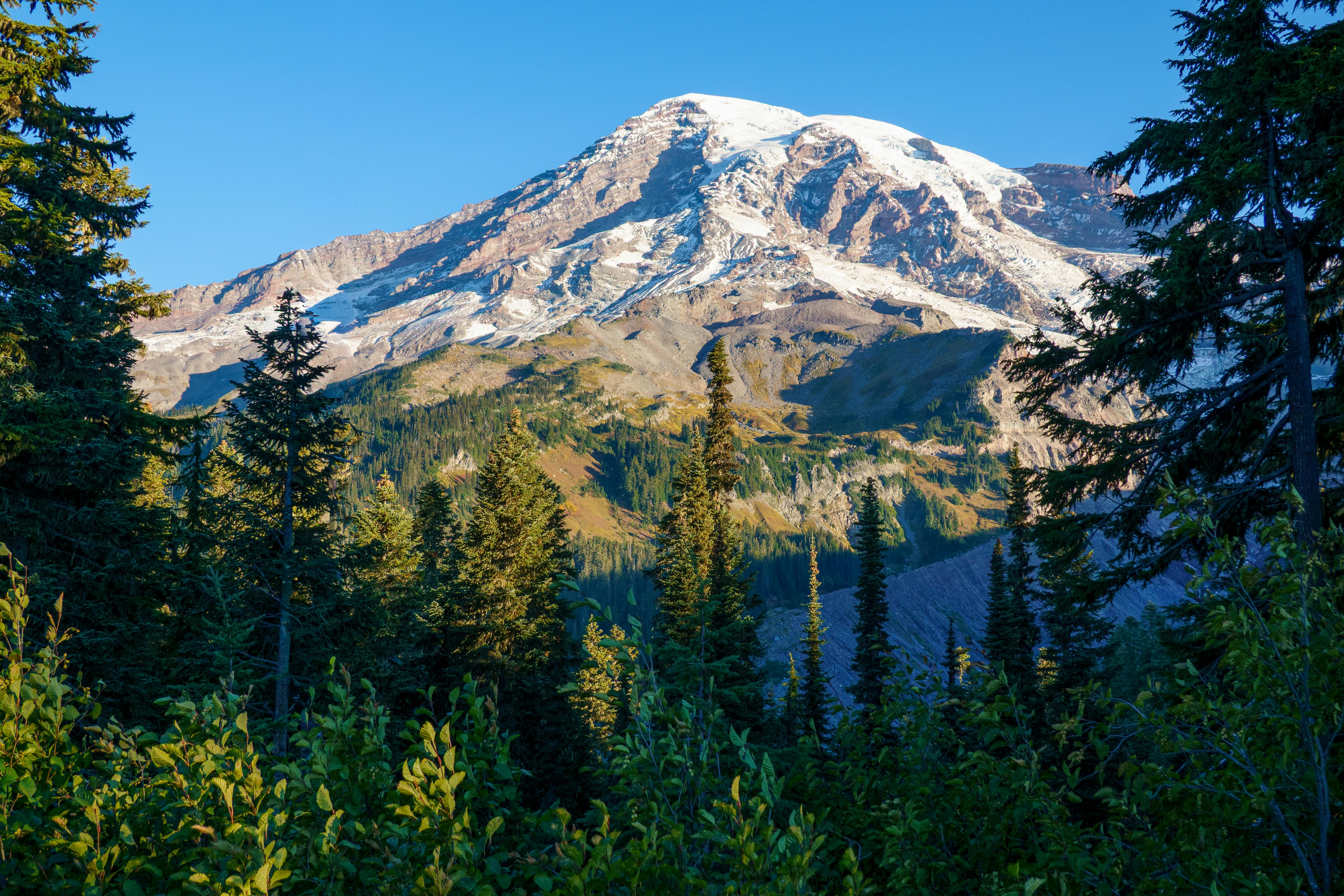 Image : Kilimanjaro's Whisper: My Solo Ascent, Conquering Doubt, and Finding My Summit Spirit
