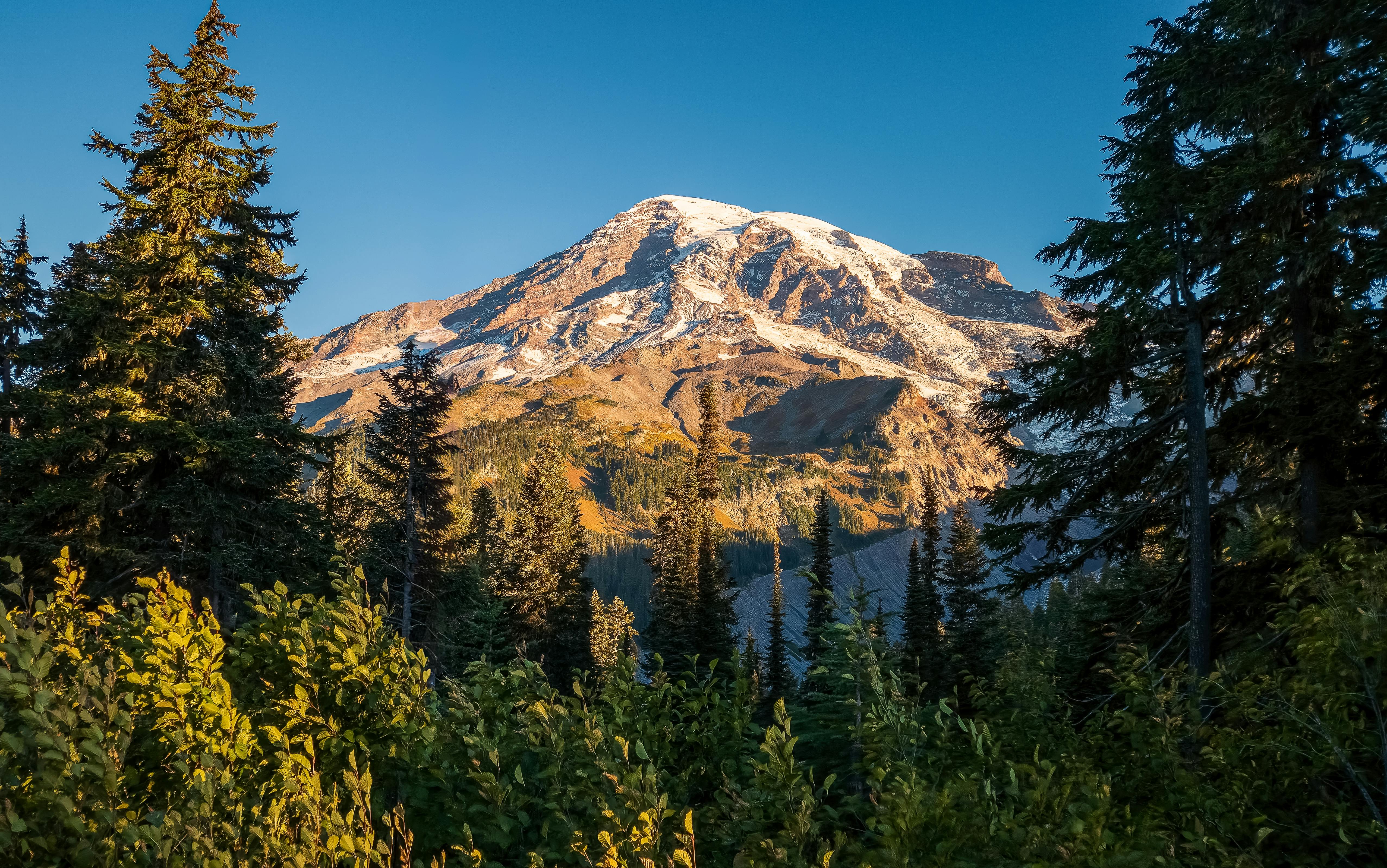 在晴朗的夏日，雷尼尔山被郁郁葱葱的森林所包围，展现出壮丽的景色
