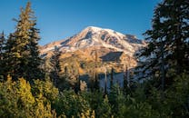 在晴朗的夏日，雷尼尔山被郁郁葱葱的森林所包围，展现出壮丽的景色