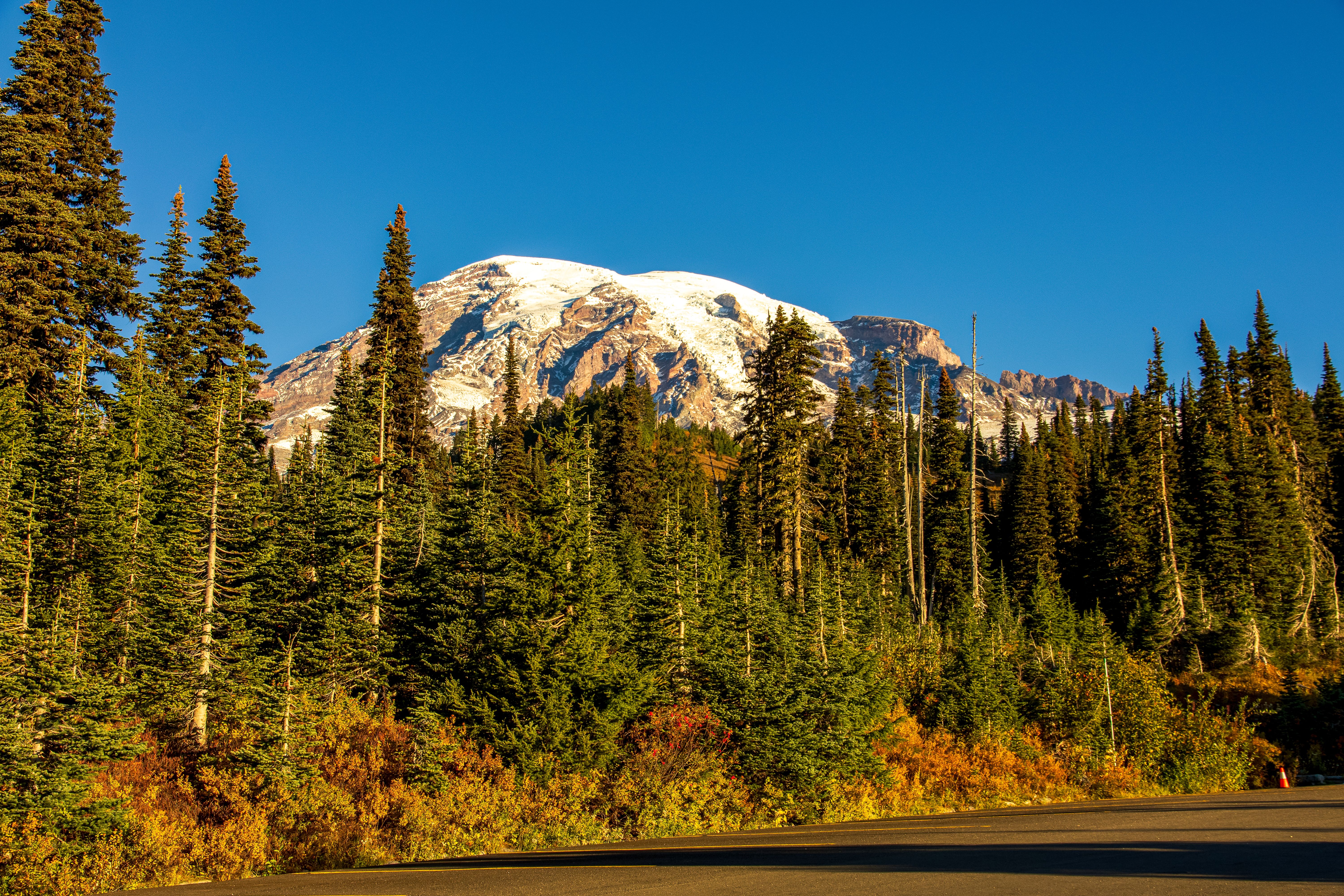 Scenic View of Mount Rainier in Autumn · Free Stock Photo