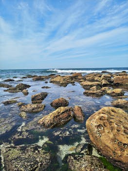 令人惊叹的岩石海岸线，在清澈的蓝天下，享有海景，非常适合旅行和自然主题