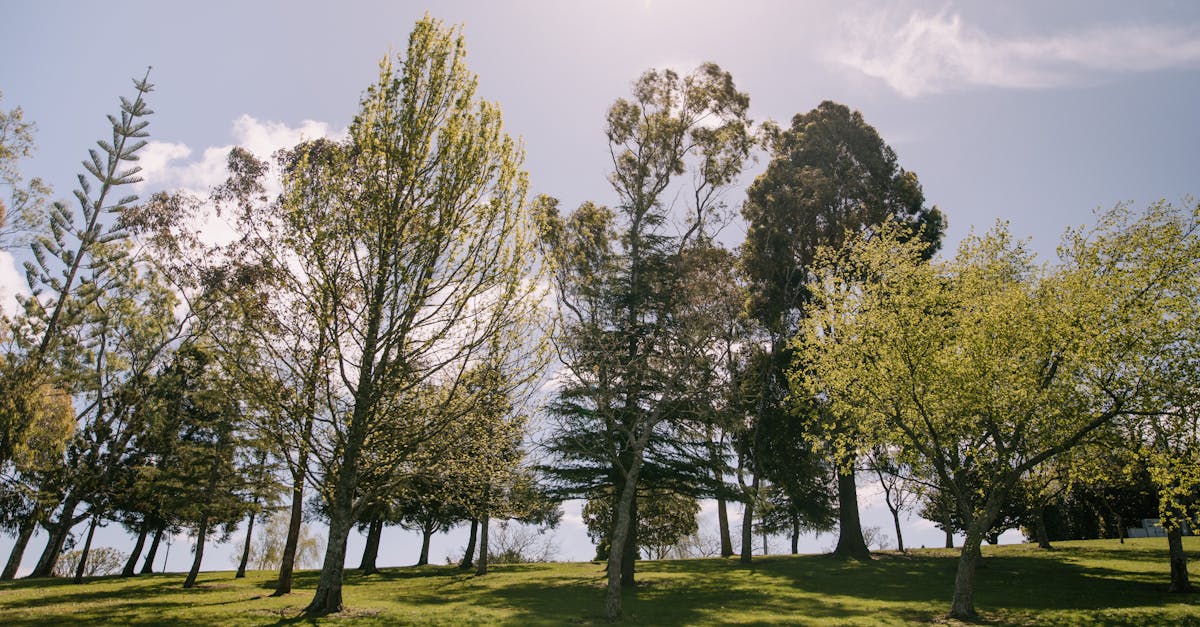 81歲馮淬帆依靠製氧機生活 粉絲留言暖心打氣