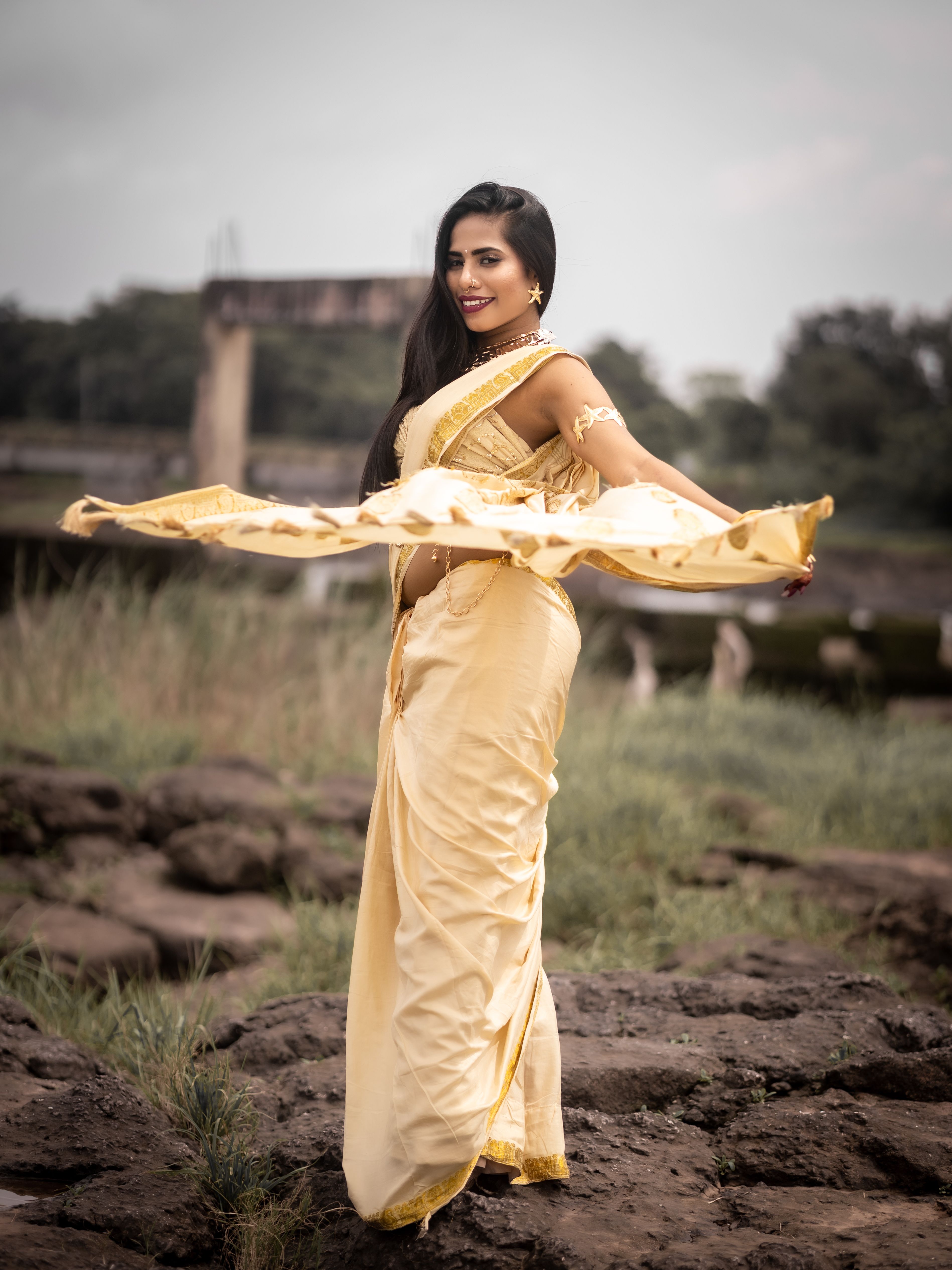 Georgette Printed Saree