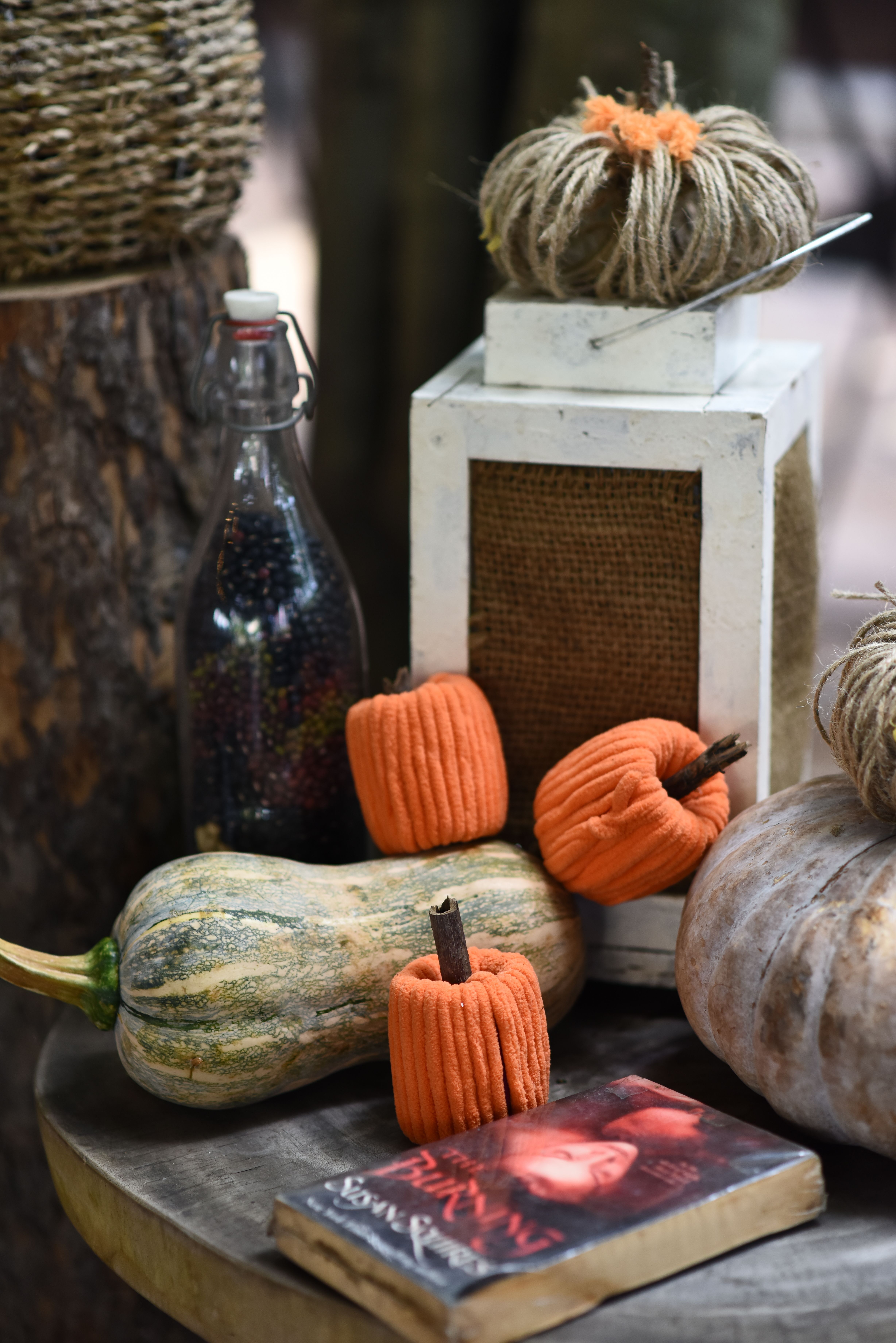 Cozy Autumn Decor with Pumpkins and Book · Free Stock Photo