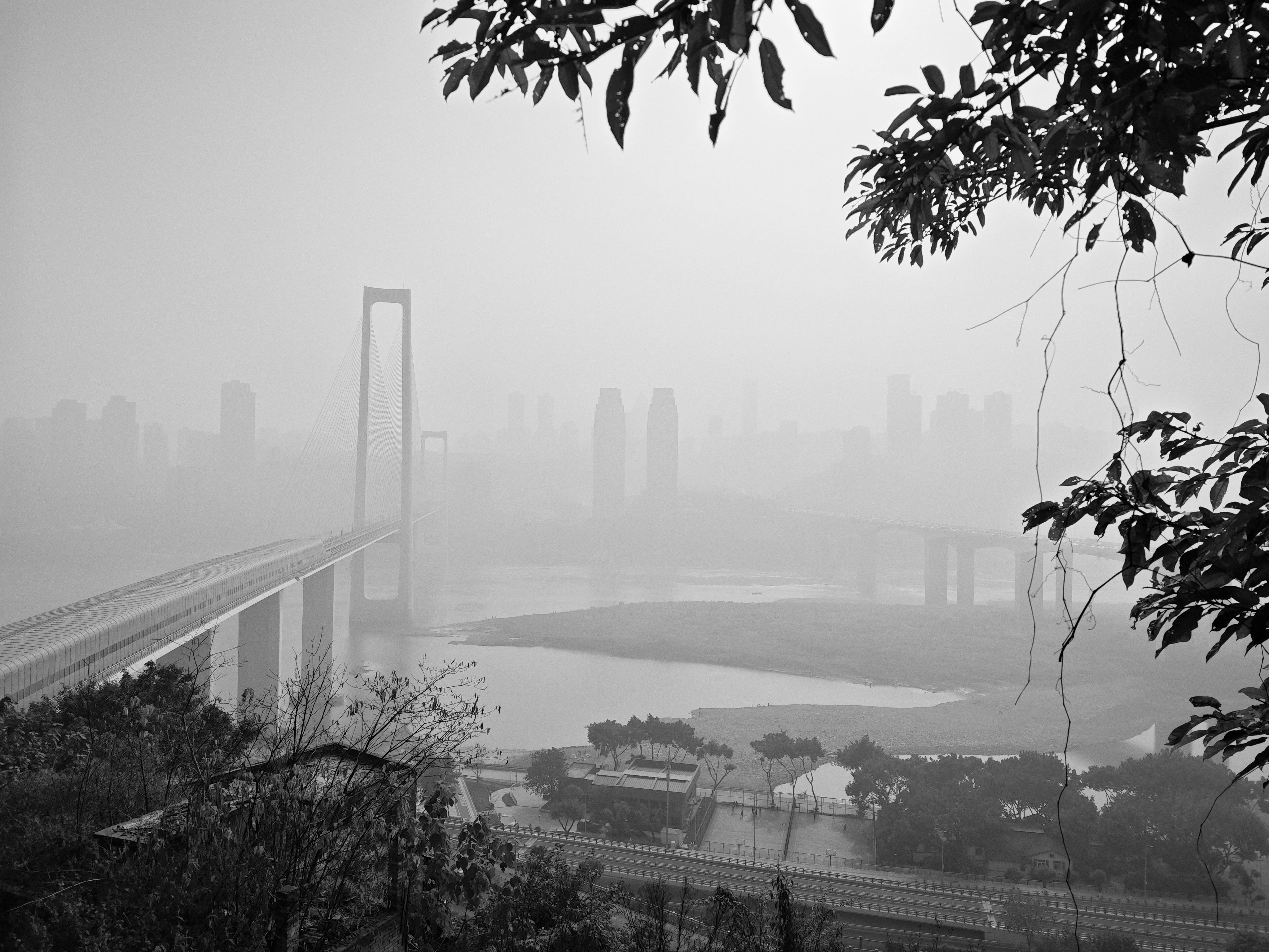 好的，我会按照您的要求进行句子的优化