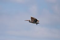 好的，我会按照您的要求进行修改