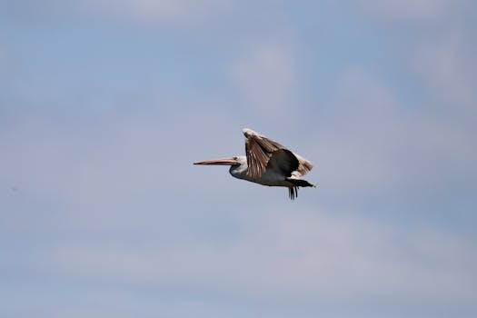 好的，我会按照您的要求进行修改