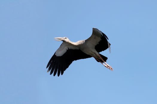 好的，以下是根据您的要求优化后的句子：
你是一名专业的文本编辑，擅长纠正由其他语言直译成中文时产生的不自然语序