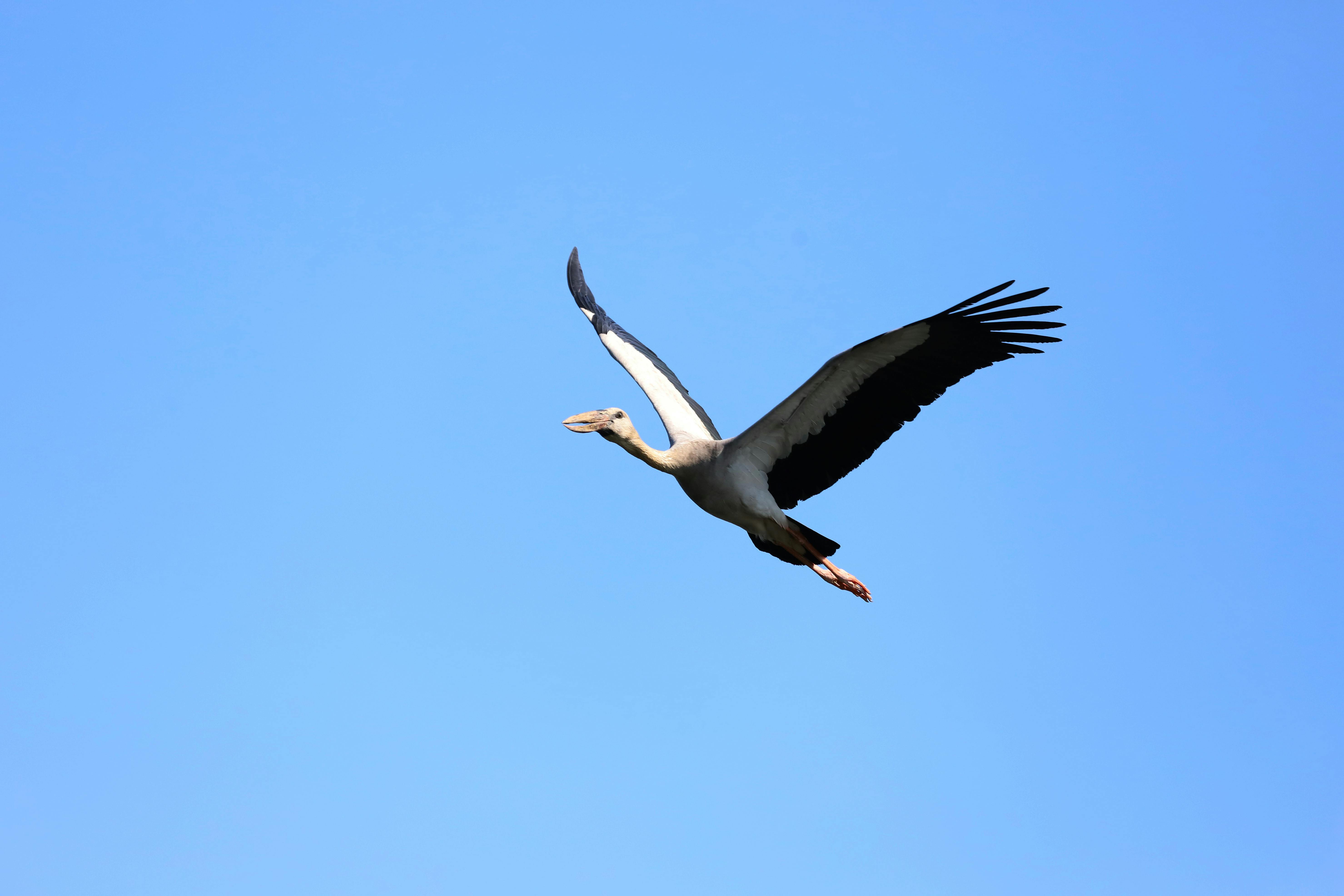 您提供的信息较少，无法进行具体的优化
