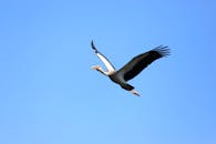 您提供的信息较少，无法进行具体的优化