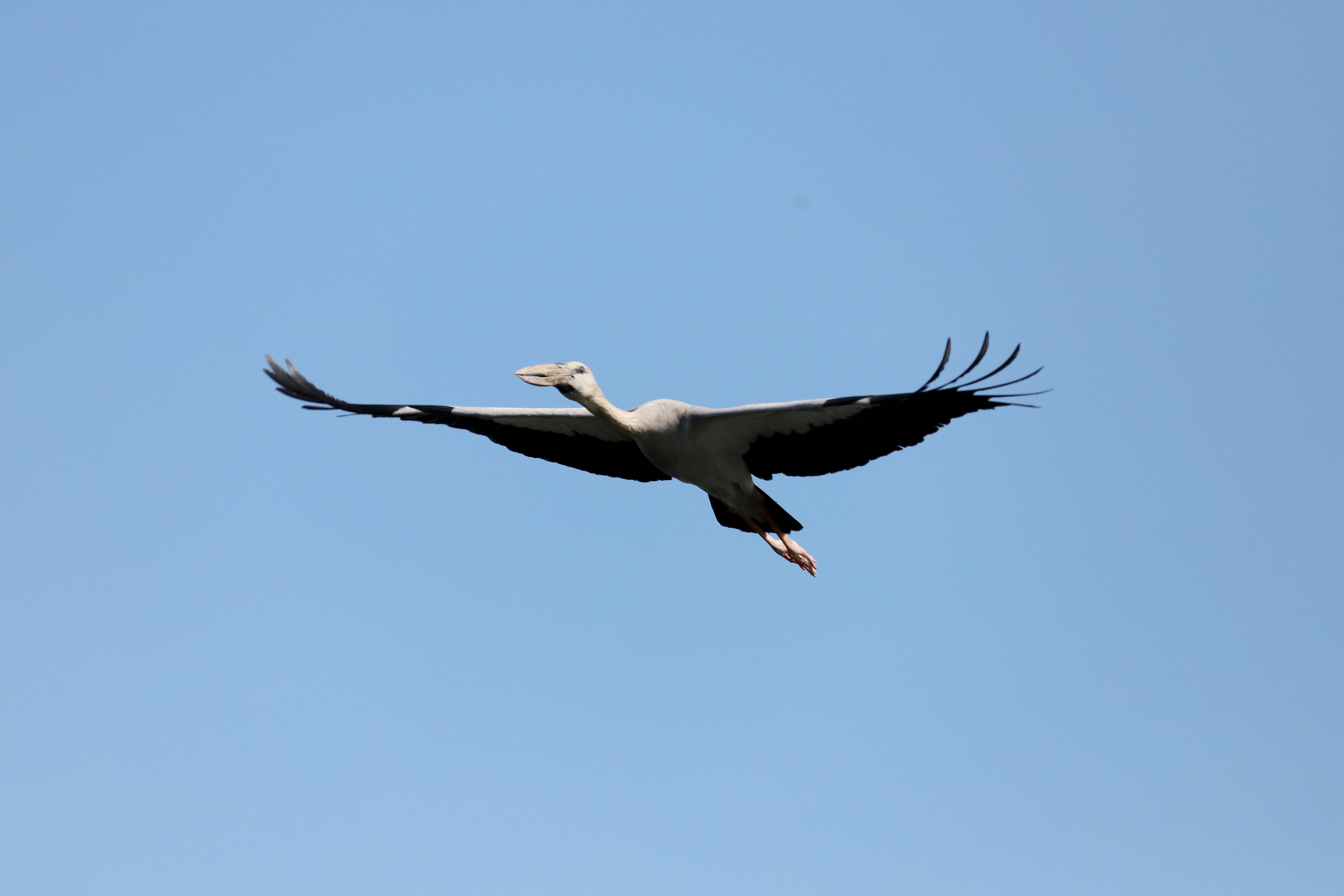 好的，我会根据您的要求进行文本编辑