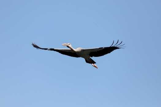 好的，我会根据您的要求进行文本编辑