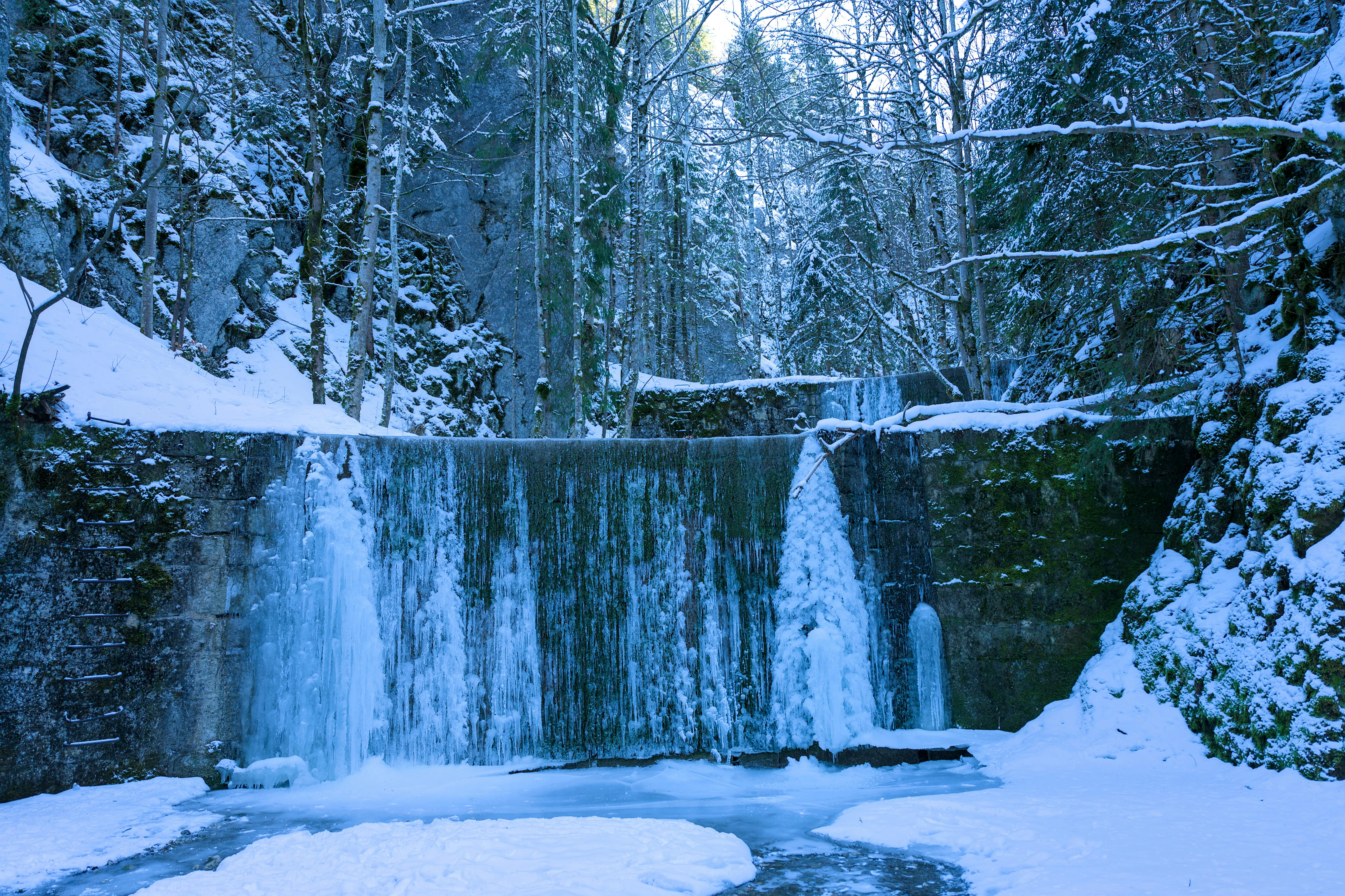 Discover the Secret Bistros You Must Try Now