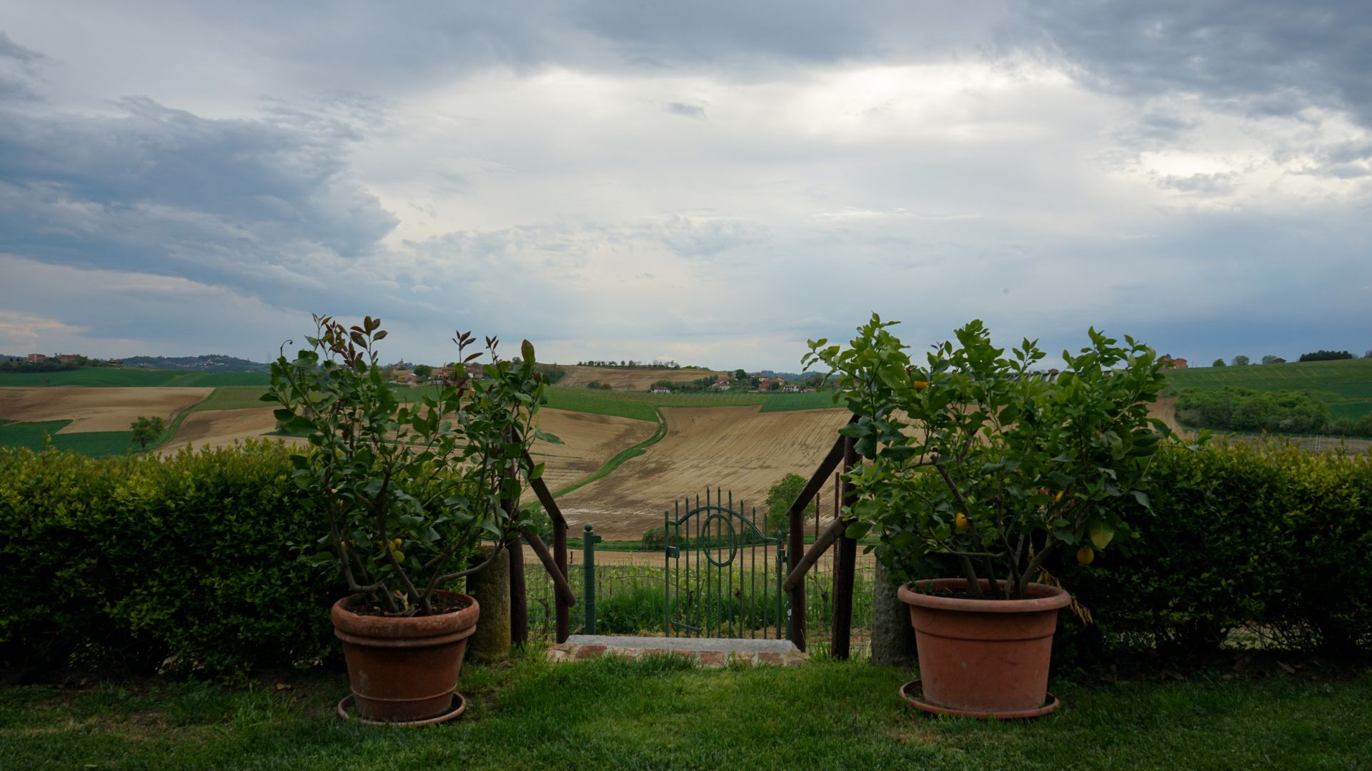Picturesque agricultural landscape in Alfiano Natta, Piemonte, Italy with potted plants.