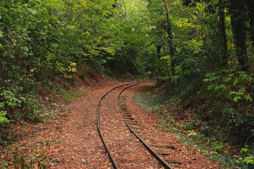 A tranquil railway track winding through a lush green forest in Bulgaria during autumn.