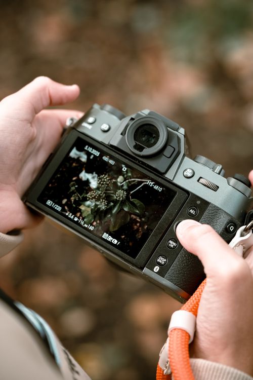 Free Close-up of hands holding a camera capturing nature in a serene autumn forest in London. Stock Photo