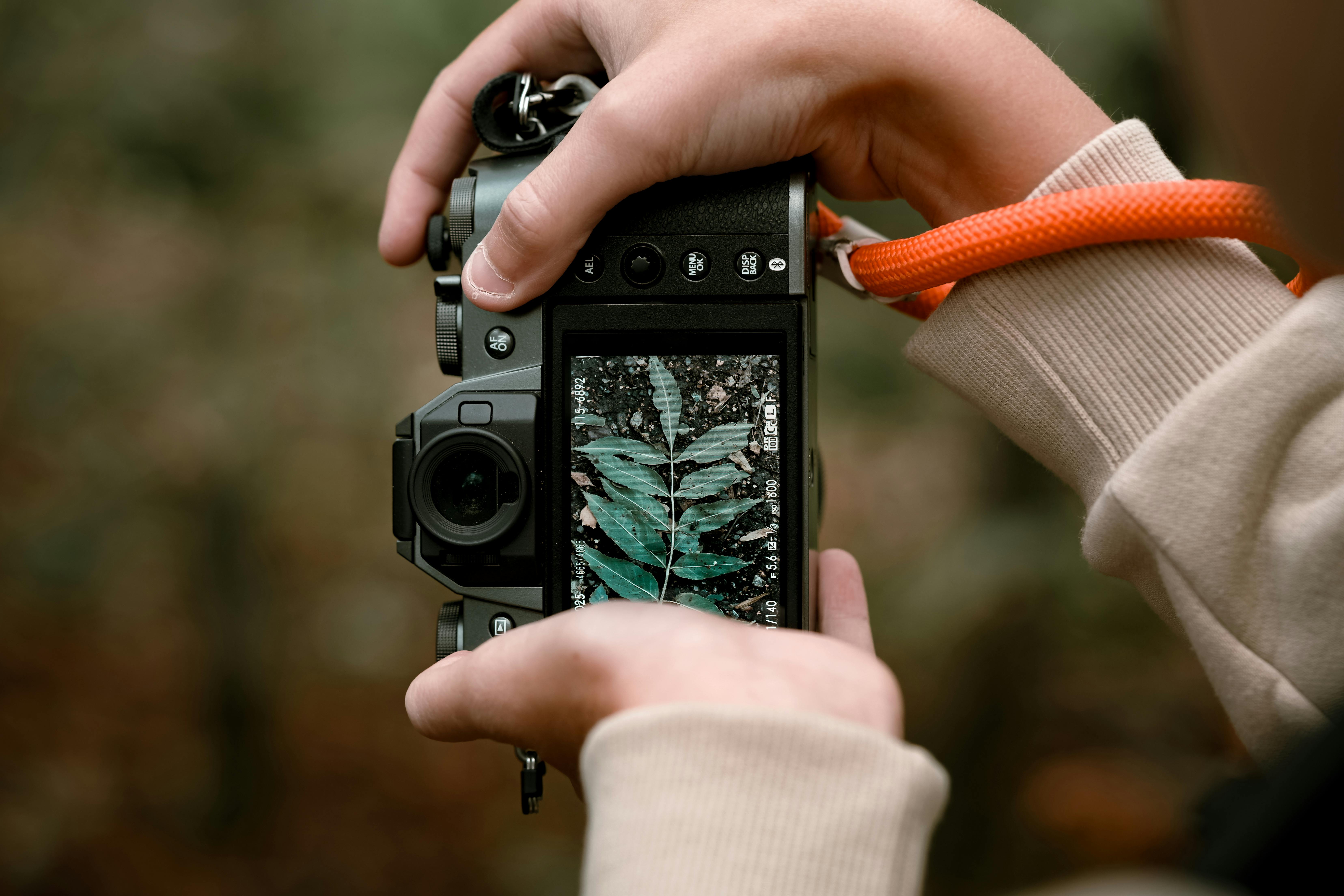 Gratis Primo piano di un fotografo che immortala una foglia autunnale in un bosco. Foto a disposizione