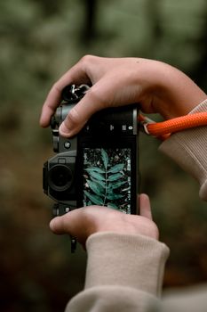 Close-up of hands holding a camera photographing green leaves in a forest.